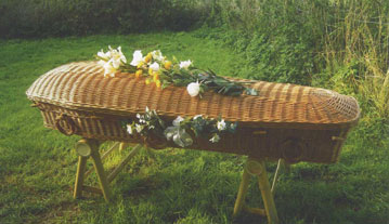 Willow Eco Coffin